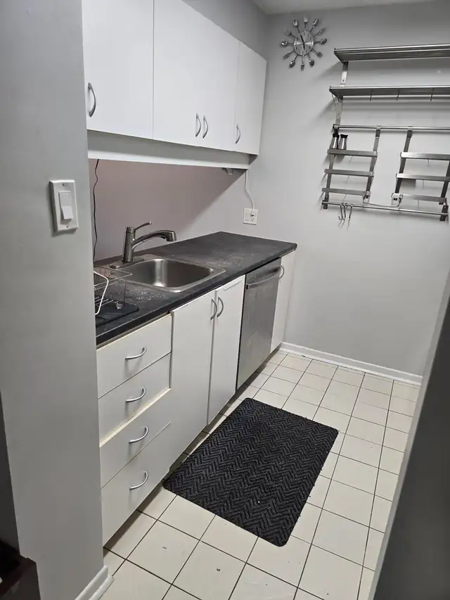 2 Bedroom 2 Bathroom Downtown Condo - Photo 4