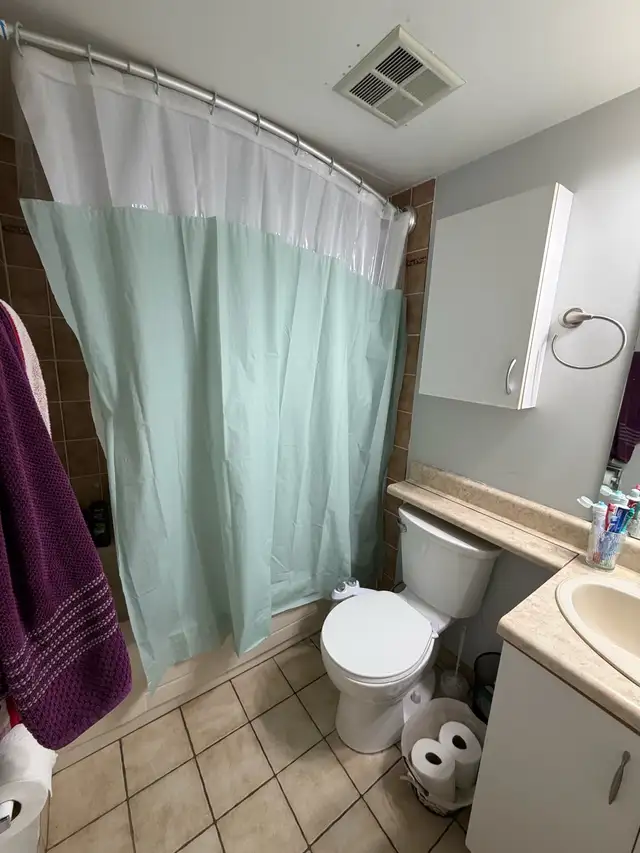 2 Bedroom 2 Bathroom Downtown Condo - Photo 10