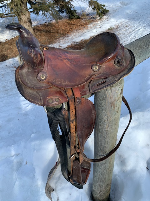 kids saddle