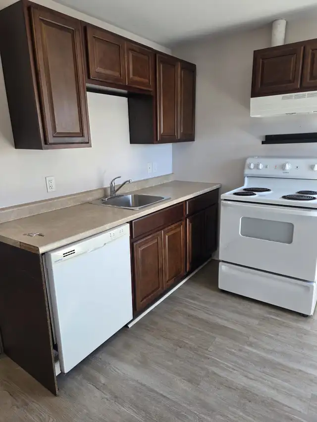June 1st New Reno Large One BR Apt & Balcony Center Quinpool Rd. - Photo 8