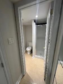 Basement Apartment for Rent in Bloor West Village - Photo 3