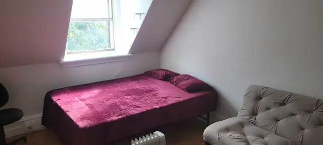TWO MONTHS OF RENT FREE!  Large Suite! Steps from Elgin & Canal - Photo 4