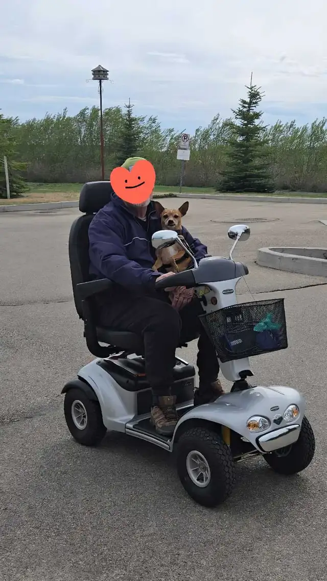MediChair/Scooter - Photo 5