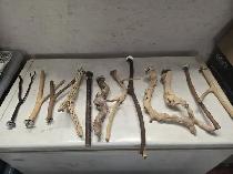 Bird Accessories - Photo 2