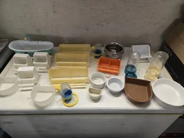 Bird Accessories - Photo 4