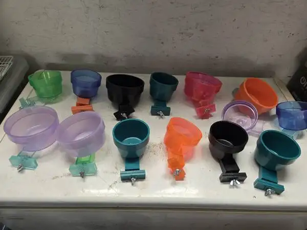 Bird Accessories - Photo 7