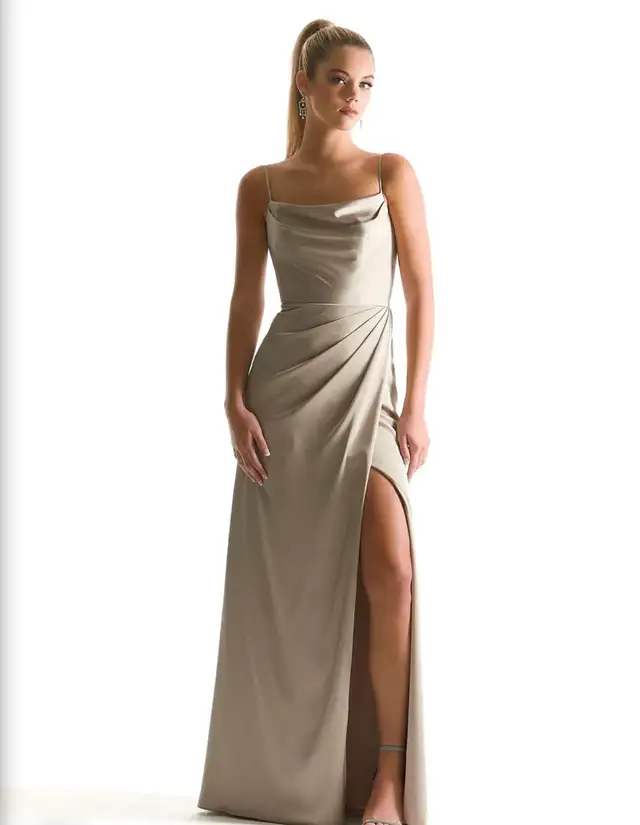MORI LEE DRESS SIZE 8 LATTE COLOUR $200