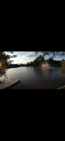 2016 wildwood rv on seasonal site holiday beach camp - Photo 6