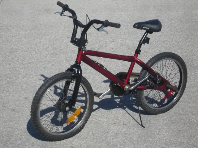 REAL OLD SCHOOL 20' DYNO SERIES TRICK BMX PLUS REAR STUNT PEGS!