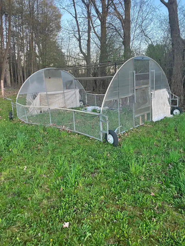 Chicken Cackellac (needs repair)