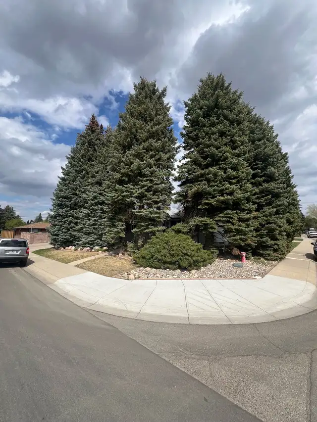 Lethbridge house for sale - prime location - Photo 2