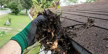 Gutter Cleaning & Eavestrough Flushing | Toronto ON | - Photo 2