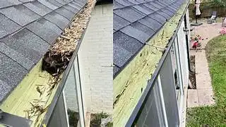 Gutter Cleaning & Eavestrough Flushing | Toronto ON | - Photo 3
