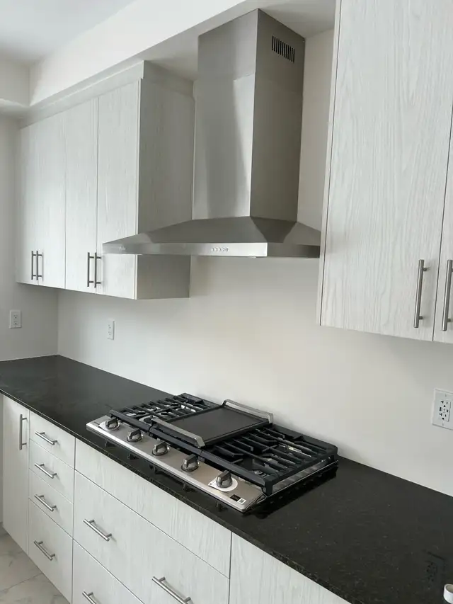 Dishwasher Installs Milton GTA❗️647-232-5731⏳ - Photo 4