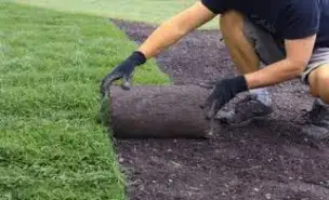 I offering sod installation for 30$ hourly. - Photo 3