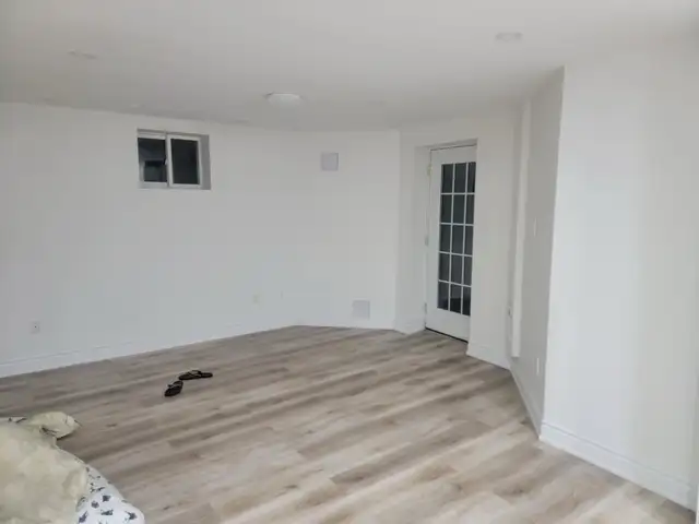 Basement - Photo 5