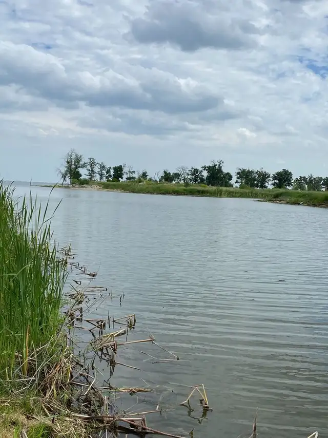 FLOOD PROOF WATERFRONT BUILDING LOTS FOR SALE - Photo 6
