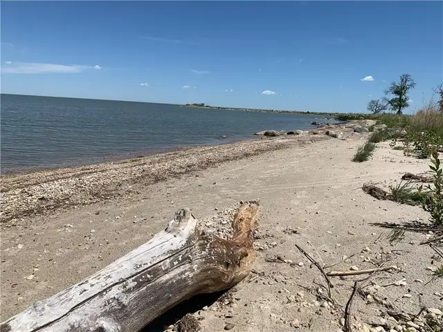 FLOOD PROOF WATERFRONT BUILDING LOTS FOR SALE - Photo 12