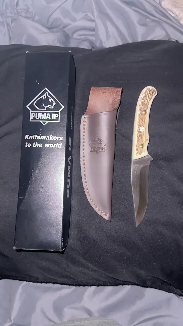 puma catamount stag