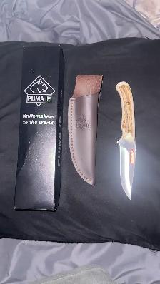 puma catamount stag - Photo 2