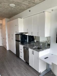 Studio UOIT OSHAWA UNIVERSITY CONDO RENT1900 Simcoe St N - Photo 6
