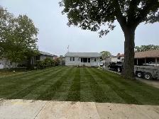 Fresh Sod
