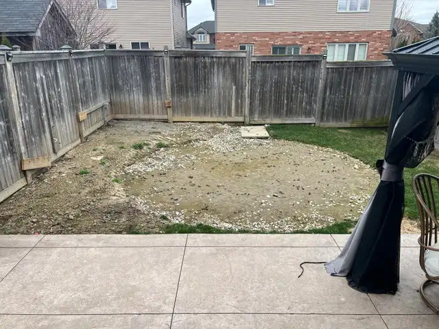 Fresh Sod - Photo 4