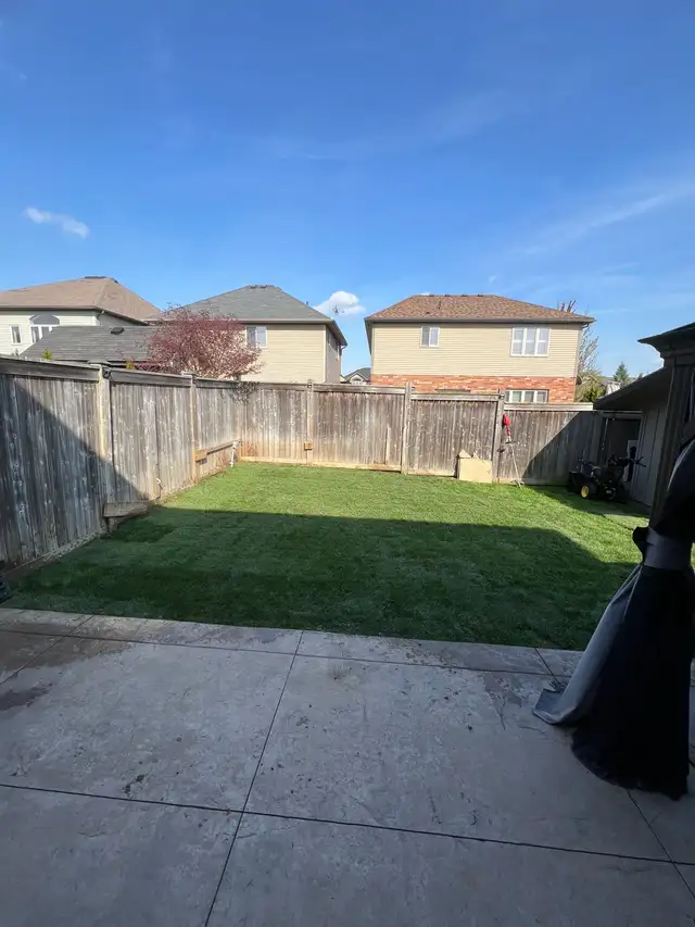 Fresh Sod - Photo 5