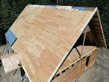 shingles roof construction carpentry - Photo 3