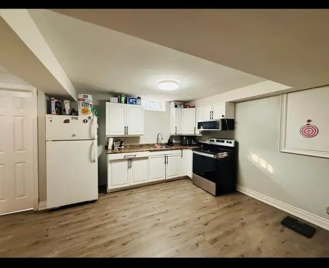 rent the basement - Photo 3