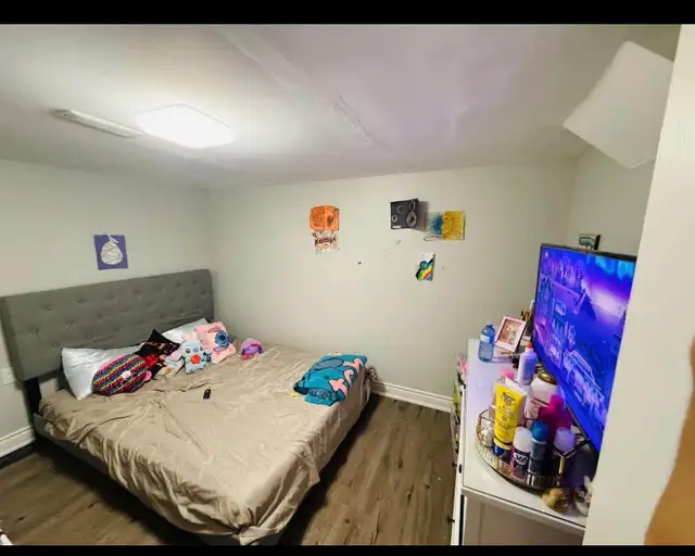 rent the basement - Photo 4