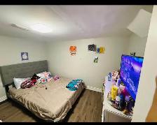 rent the basement - Photo 4