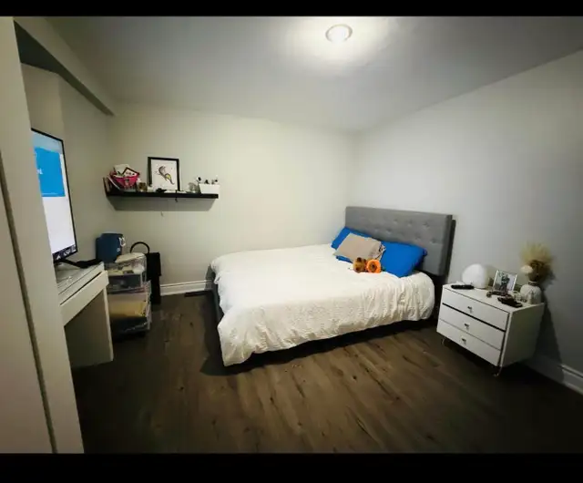 rent the basement - Photo 5