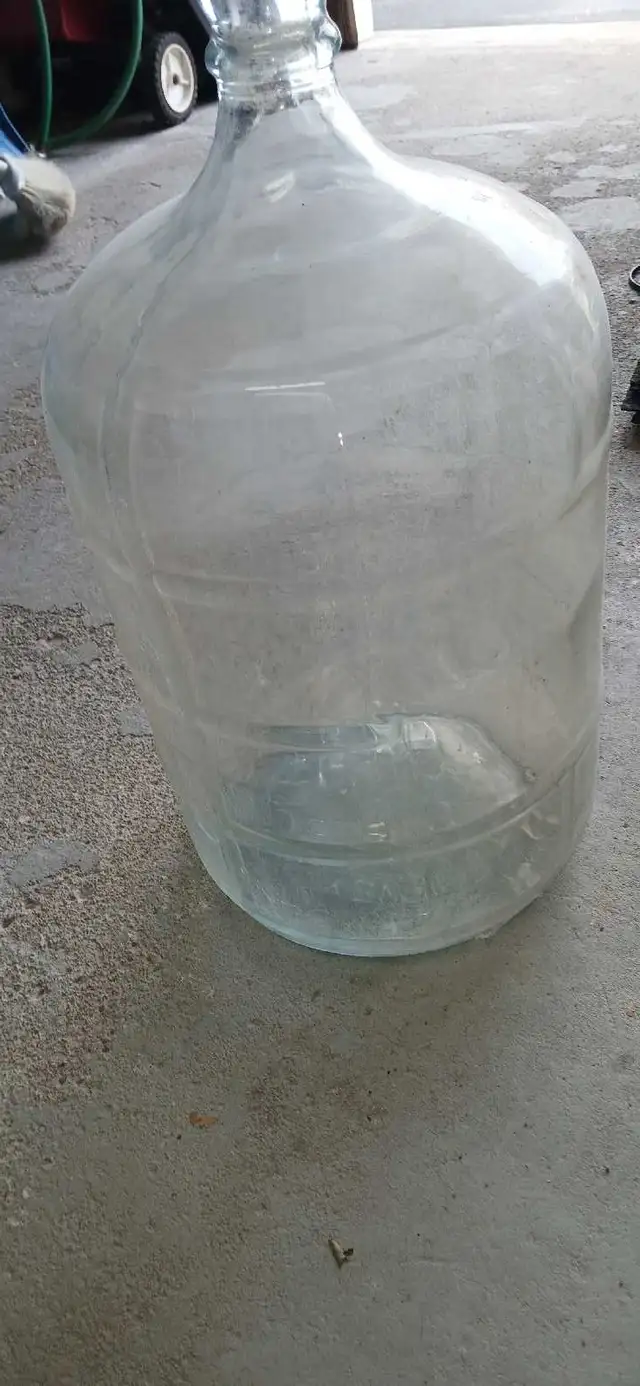carboys 16 total