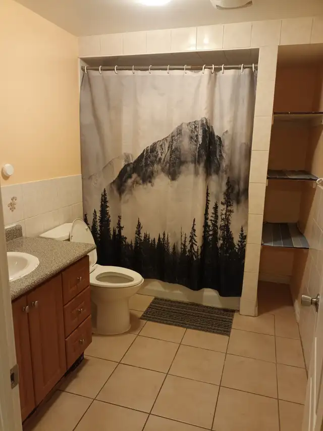 Two bedrooms basement apartment for rent : Brammpton - Photo 3