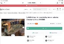 Canard schiste et bois - Photo 2