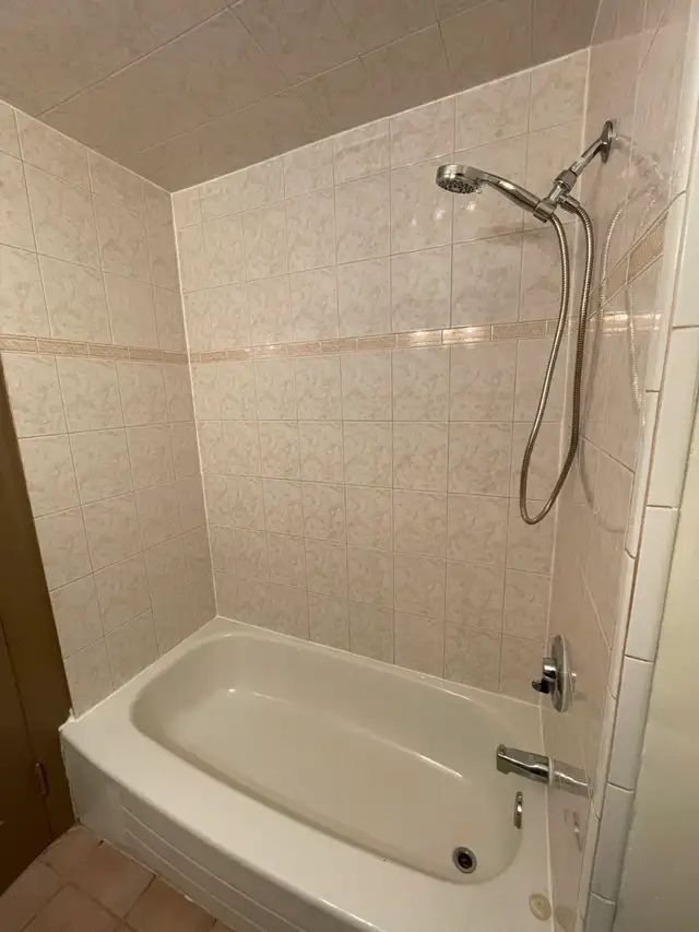 4 Bedroom House between downtown and University of Windsor - Photo 8