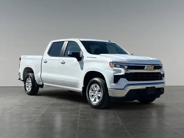 2025 Chevrolet Silverado 1500 LT - Photo 9