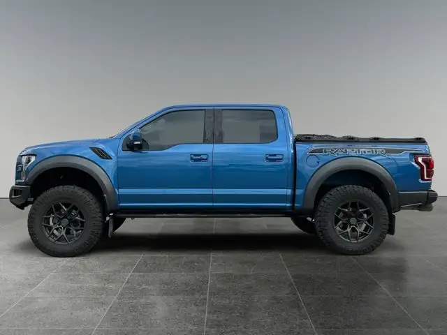 2020 Ford F-150 Raptor - Photo 2