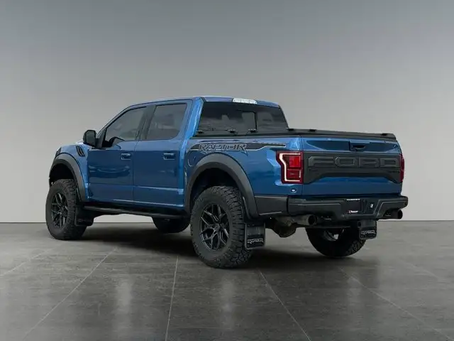 2020 Ford F-150 Raptor - Photo 4