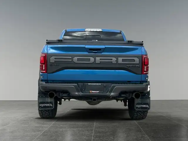 2020 Ford F-150 Raptor - Photo 5