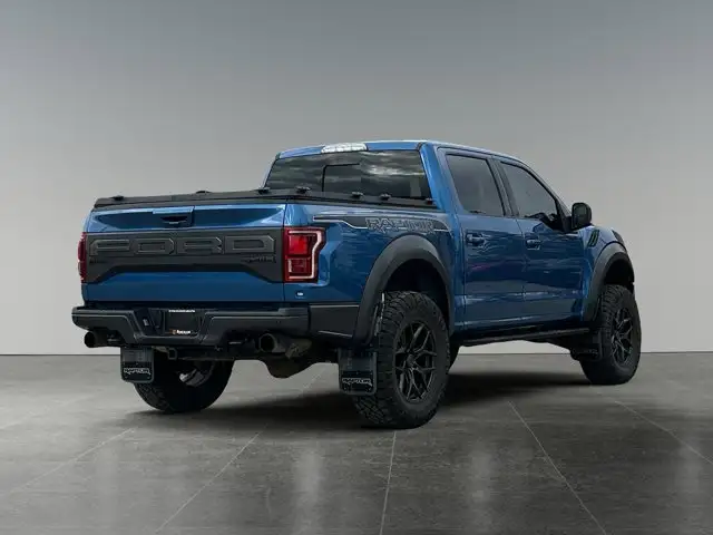 2020 Ford F-150 Raptor - Photo 7
