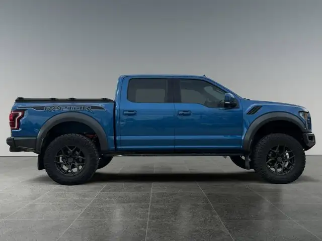 2020 Ford F-150 Raptor - Photo 8