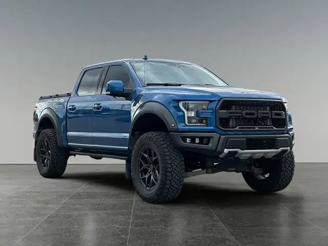 2020 Ford F-150 Raptor - Photo 9
