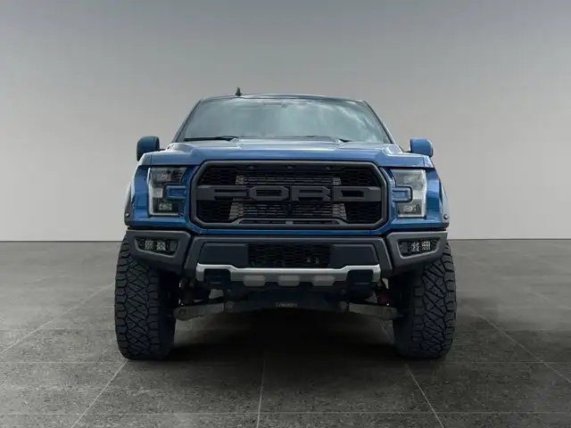 2020 Ford F-150 Raptor - Photo 10