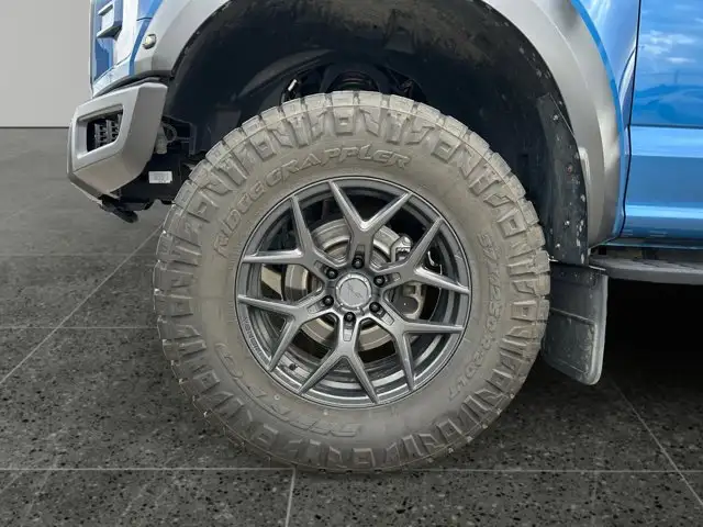 2020 Ford F-150 Raptor - Photo 11
