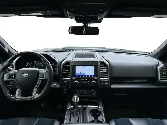 2020 Ford F-150 Raptor - Photo 14