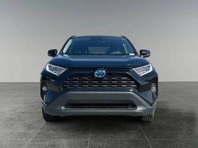 2019 Toyota RAV4 Hybrid XLE - Photo 10