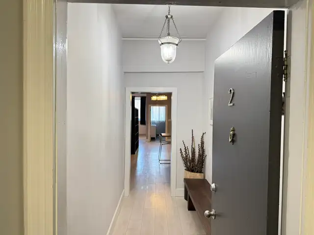 2 bedroom fully renovated and furnished apartment