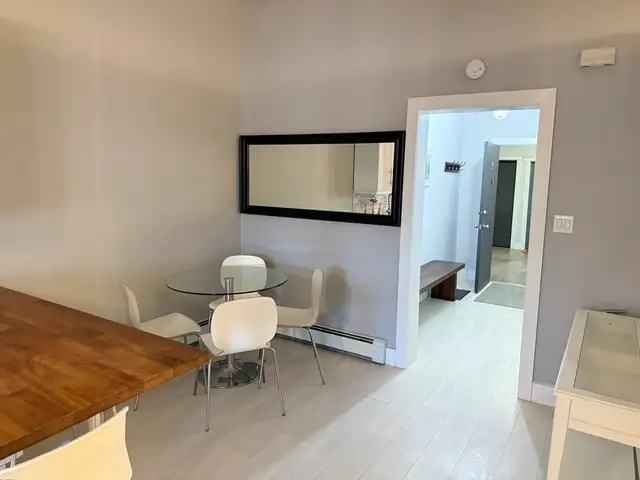 2 bedroom fully renovated and furnished apartment - Photo 10